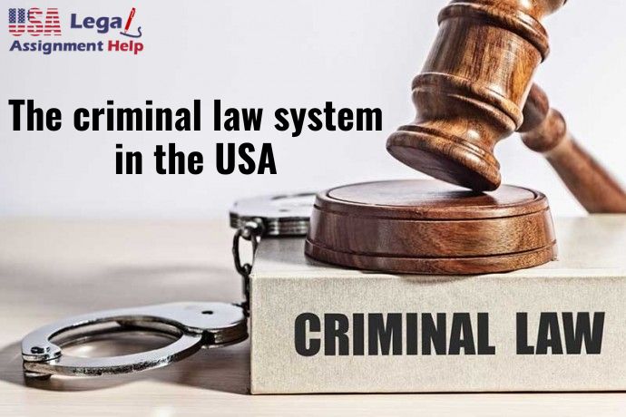 The criminal law system in the USA